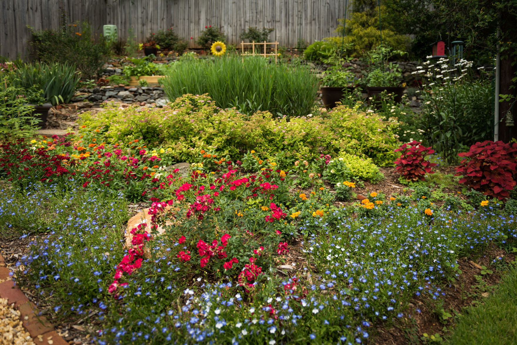 Lisa Swarthout's Garden